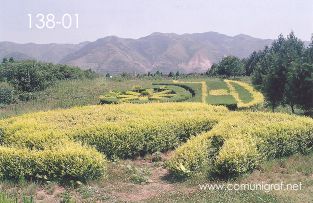 Foto 138-01 - Zona jardineada marcada con el número 7-D en uno de los lugares del inmenso Mausoleo (dicen que aprox 60 km2) del primer emperador de china Qin Shi Huang ubicado en la ciudad de Xían en el distrito de Lintong, provincia de Shaanxi, China - 17-Junio-2006