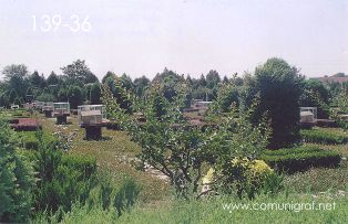 Foto 139-36 - Piezas que indican lugares importantes dentro de la zona del inmenso Mausoleo (dicen que aprox 60 km2) del primer emperador de china Qin Shi Huang ubicado en la ciudad de Xían en el distrito de Lintong, provincia de Shaanxi, China - 17-Junio-2006