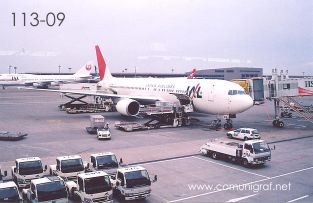 Foto 113-09 - Avión de Japan Airlines en el Aeropuerto de Tokio, Japón - 10-Junio-2006