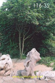 Foto 116-35 - Otra toma de las figuras de piedra en los jardines de uno de los museos del pueblo viejo de Zhouzhuang, china - 11-Junio-2006