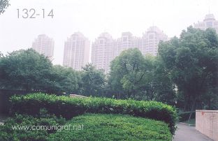 Foto 132-14 - Una de las zonas arboledas y jardines en Shanghai China - 14-Junio-2006