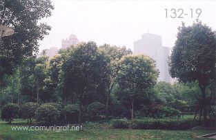 Foto 132-19 - Una de las zonas arboleadas en Shanghai China - 14-Junio-2006