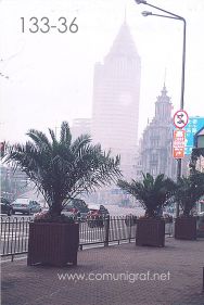 Foto 133-36 - Otra toma de la zona del Waitan de Shanghai China - 14-Junio-2006