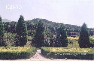 Foto 138-13 - Partes jardineadas en una de las zonas del inmenso Mausoleo (dicen que aprox 60 km2) del primer emperador de china Qin Shi Huang ubicado en la ciudad de Xían en el distrito de Lintong, provincia de Shaanxi, China - 17-Junio-2006
