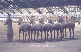 Foto 138-31 - Estatuas de caballos y guerreros al tamaño natural en restauración en la nave principal de las excavaciones de piezas en el museo de los Guerreros de Terracota en Xiyang cerca de la ciudad de Xían China - 17-Junio-2006